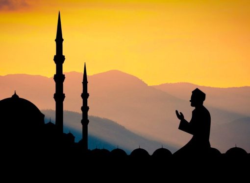دور المنهج الوسطي التربوي
